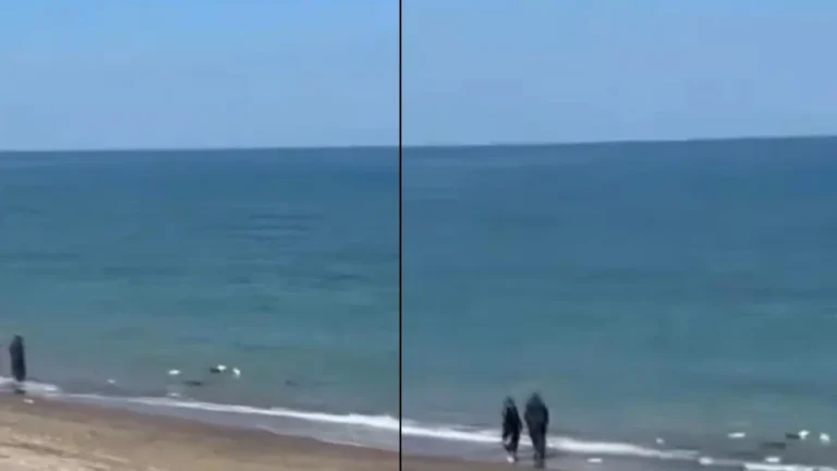 Denize Atılan Piknik Çöpleri: Düzce Akkaya Plajı’nda Çevre Kirliliği Skandalı