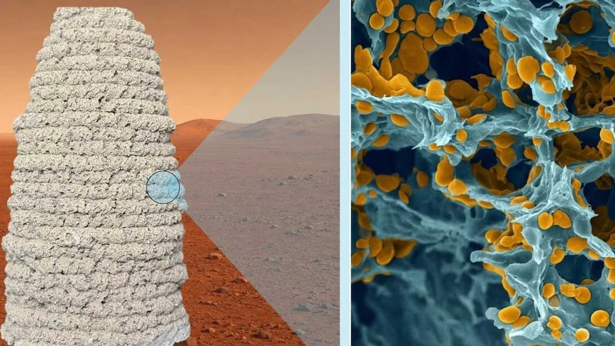 Ekmek mayasını alıp genetiğini değiştirdiler, yeni evler artık…