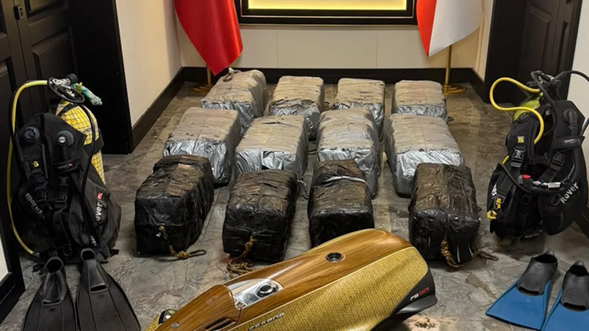 Mersin Limanı'nda gemide gizlenmiş 350 kilo kokain ele geçirildi:…