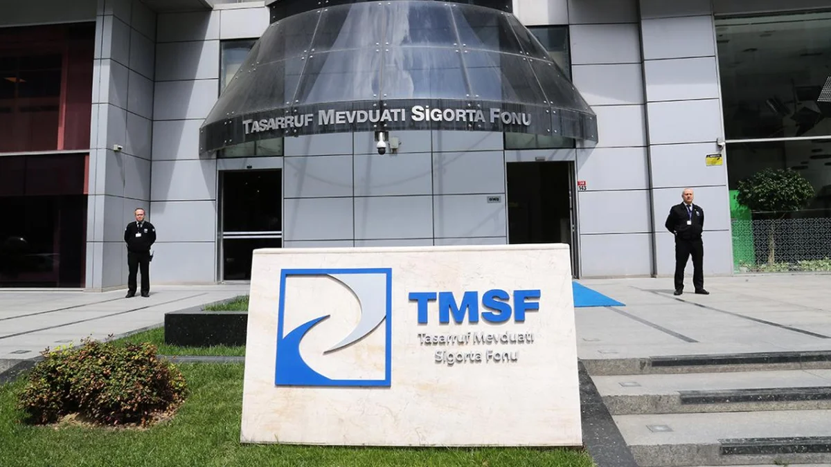 TMSF iki şirketi satışa çıkardı